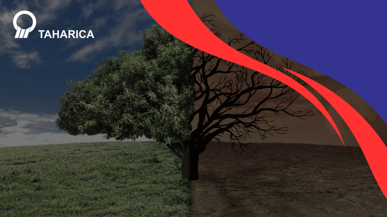 Perubahan iklim saat ini dan cara mempersiapkannya