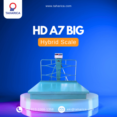 HD A7 Big