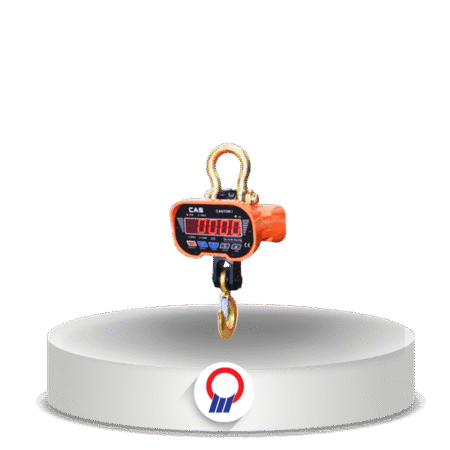 Caston THZ Crane Scale