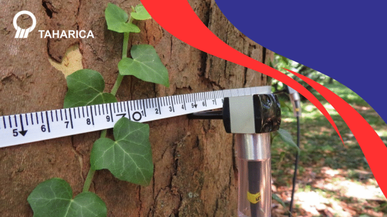 Alat Uji Pohon: Akurat Deteksi Kerusakan & Batang Keropos