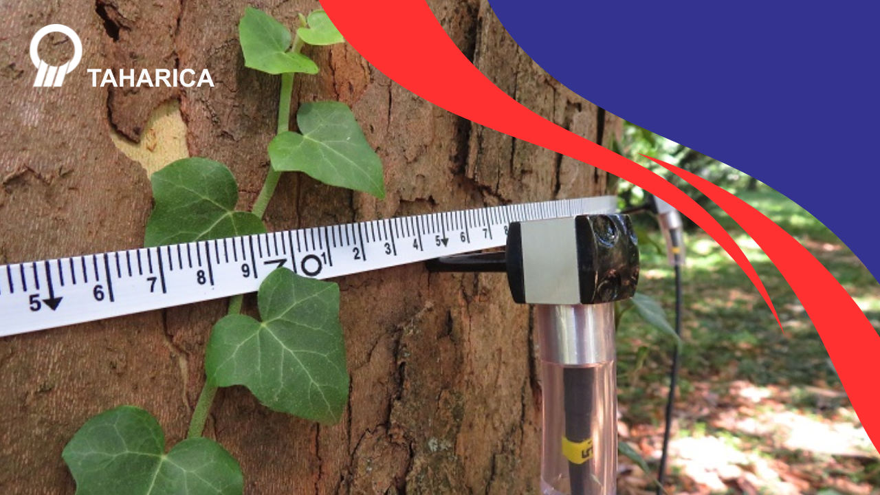 Alat Uji Pohon: Akurat Deteksi Kerusakan & Batang Keropos