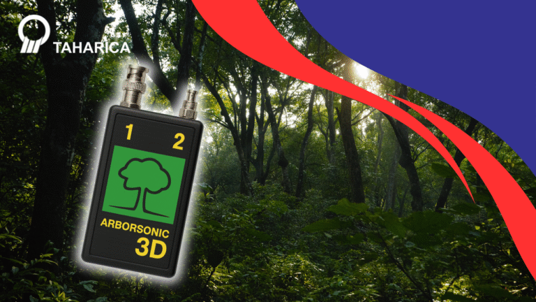 Kesehatan Pohon Adalah Pondasi Ekosistem