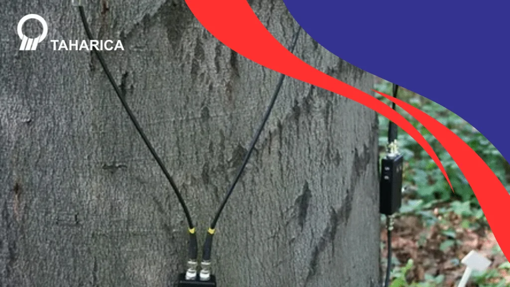 Kesehatan Pohon Monitoring – Ukur Kesehatan Pohonmu