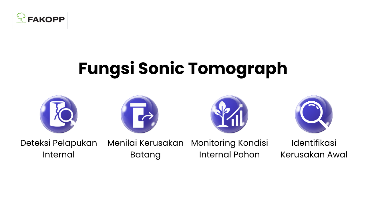 Fungsi Sonic Tomograph