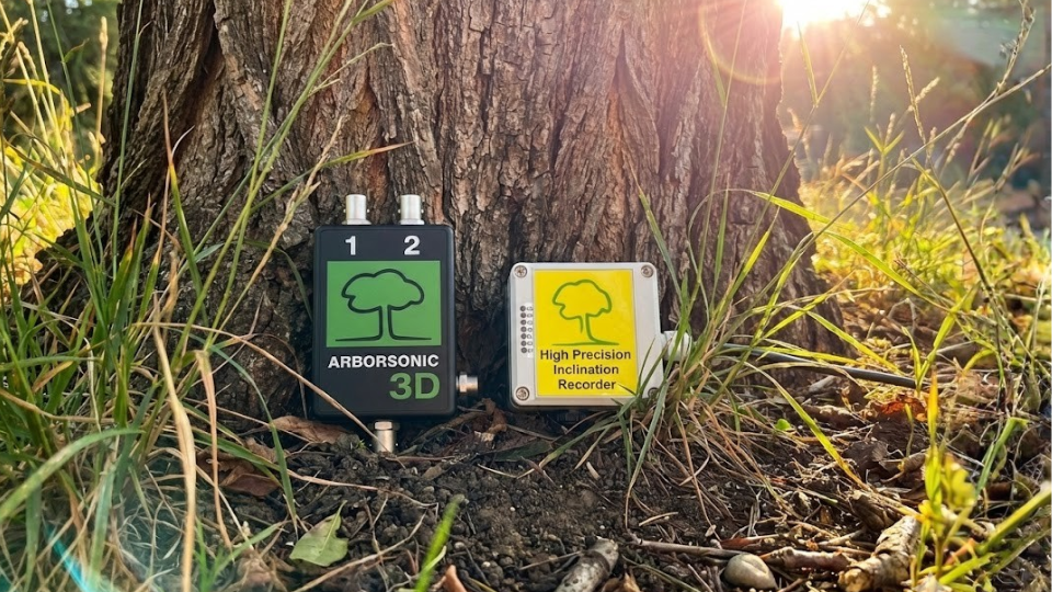 Fakopp Tree monitoring - taharica