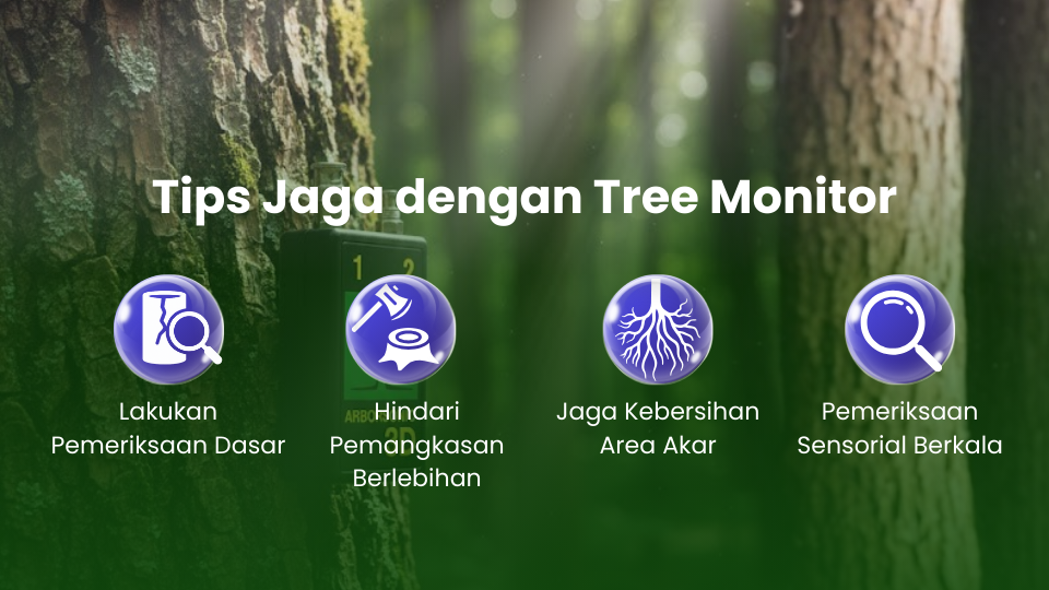 Tree monitoring - tips menjaga pohon taharica