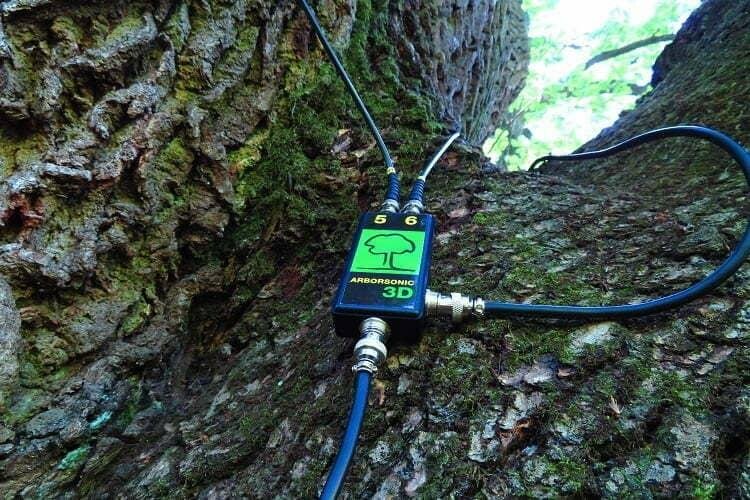 Sonic Tomograph - Taharica