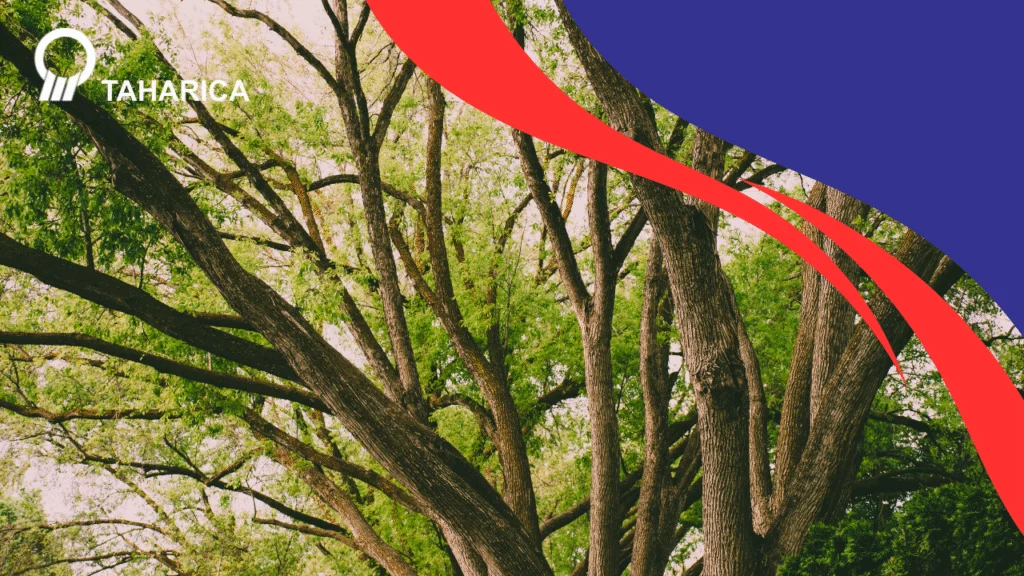 Tree Monitoring Sistem Adalah Solusi Kesehatan Pohon