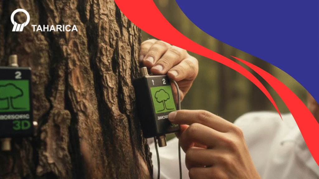 Tree Monitoring: Pengertian dan Cara Kerja Kesehatan Pohon