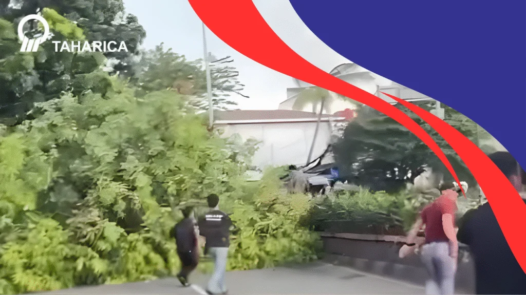 Pohon Tumbang Di Tambun, Akses Jalan Warga Terhalang