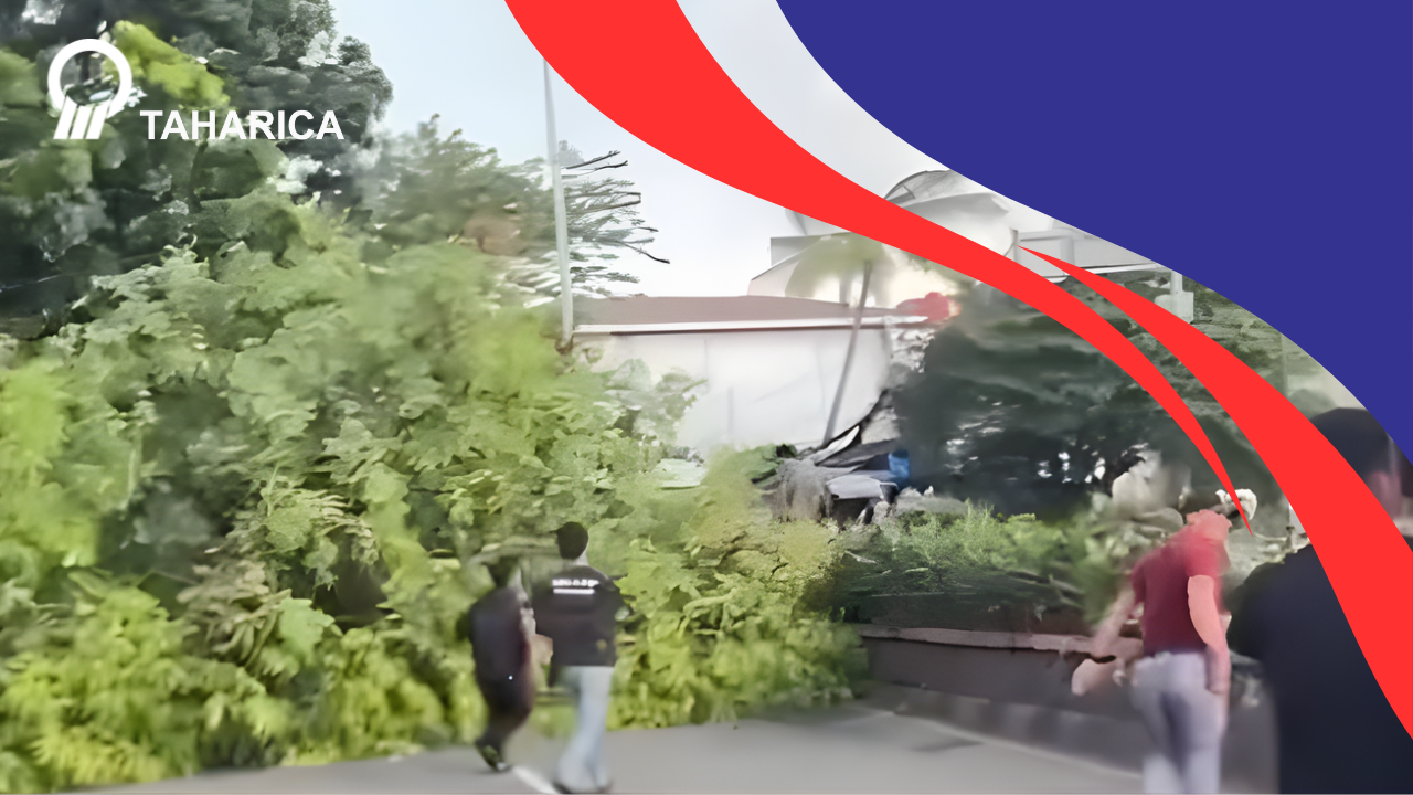 Pohon Tumbang Di Tambun, Akses Jalan Warga Terhalang