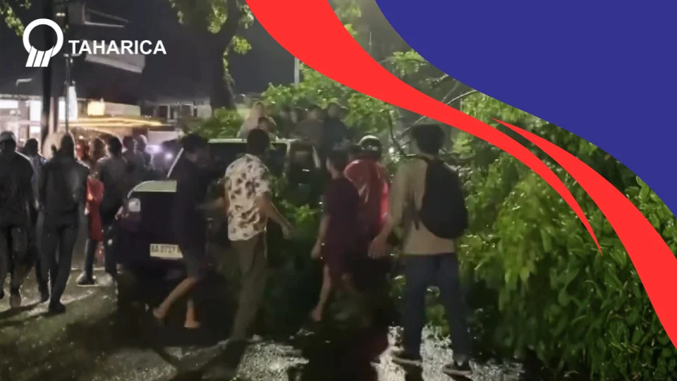 Pohon Tumbang Kembali Terjadi di UNP Padang: Alarm Bahaya!