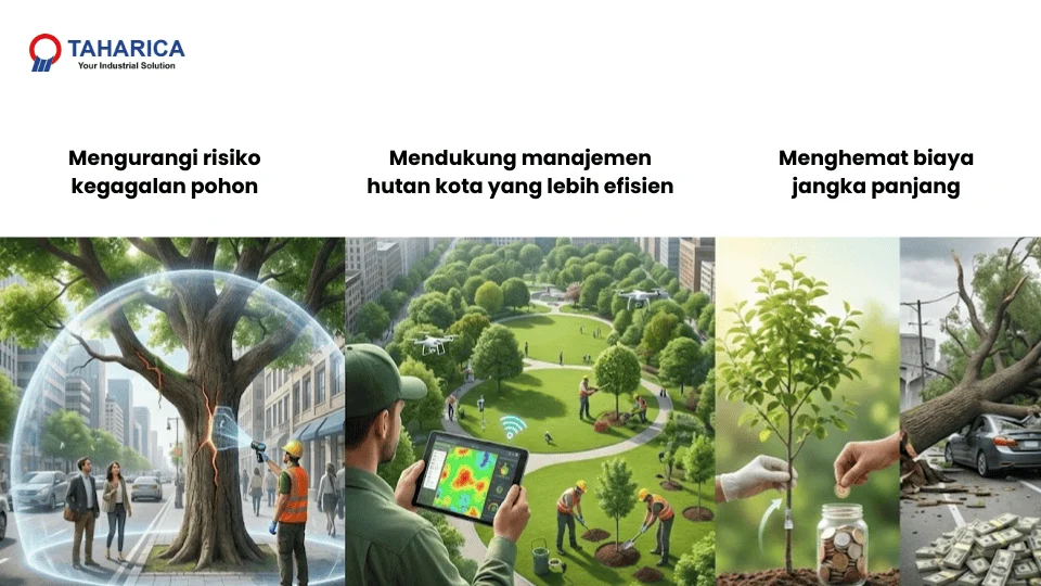 manfaat monitoring kesehatan pohon