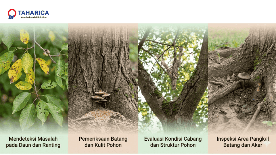 metode pemeriksaan pohon - taharica