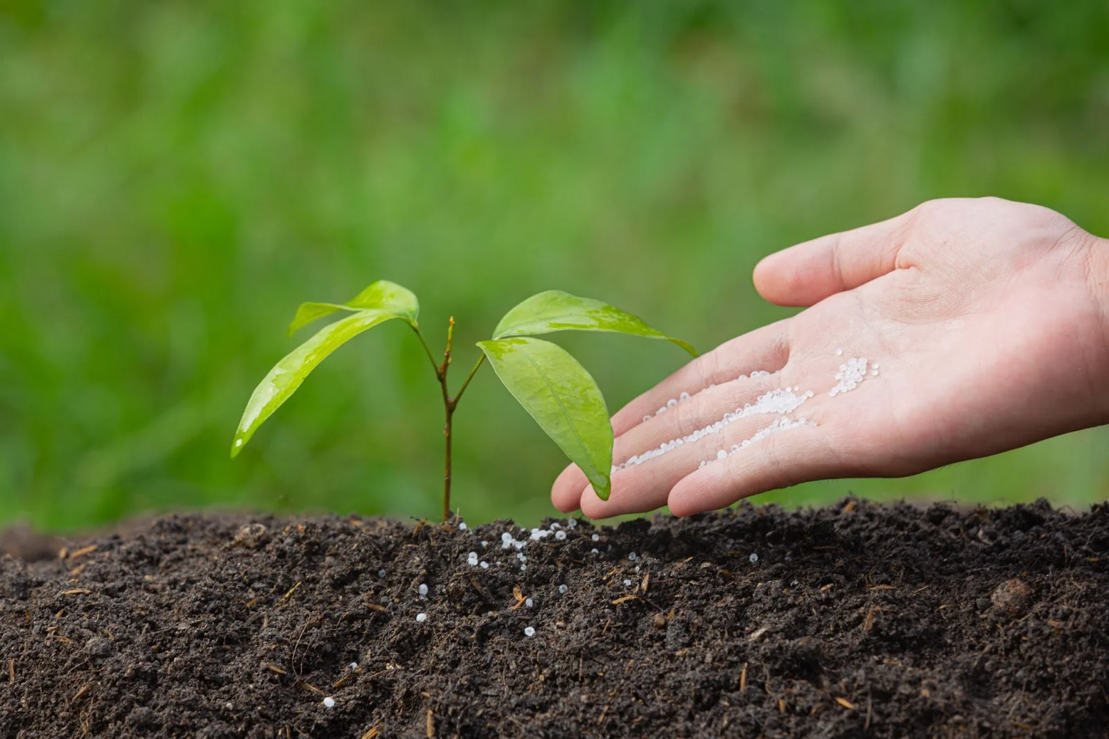 <a href="https://taharica.com/soil-and-land-monitoring/" class="kartu-link-full" style="color: #ffffff; text-decoration: none;">Soil & Land Monitoring</a>